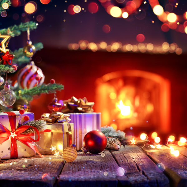 The IDEAL Christmas Gift !