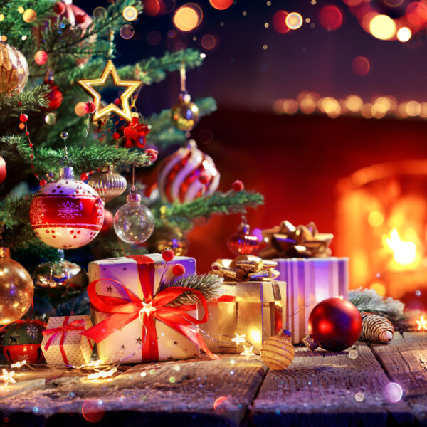 Das IDEALE Weihnachtsgeschenk !